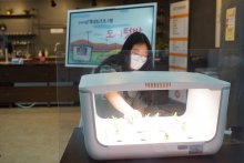 이제는 스마트팜으로 작물을 재배해요.