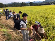 [가족프로그램] 따분한 토요일, 가족들과 농촌체험!