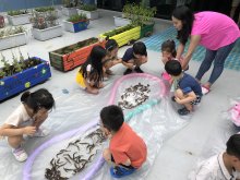 [7월 원데이클래스] 미끌미끌 미꾸라지-퍼포먼스 미술 외 4개 클래스 진행!