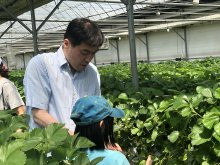 2019 가족농촌캠프 '딸기가 좋아!'