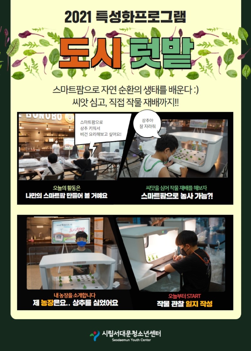 도시텃밭 비하인드 (2).jpg